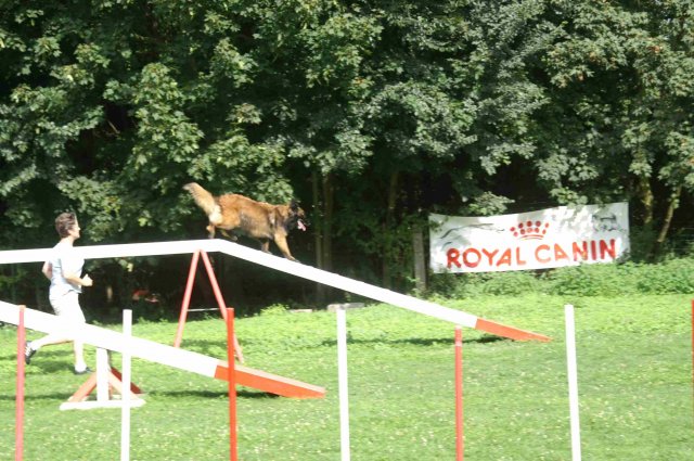 agility 2011-08